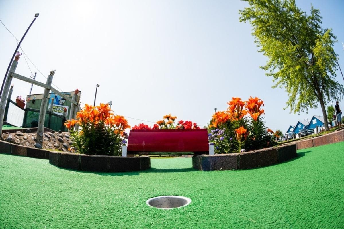 A miniature golf course with flowers and trees.