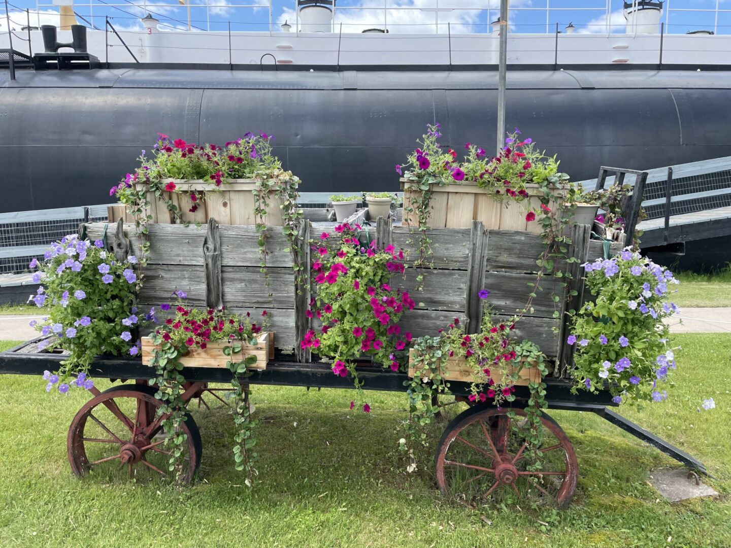 A couple of carts with flowers in them